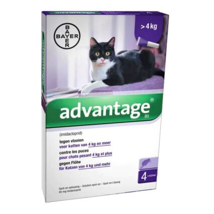 ADVANTAGE PIPETA GATO