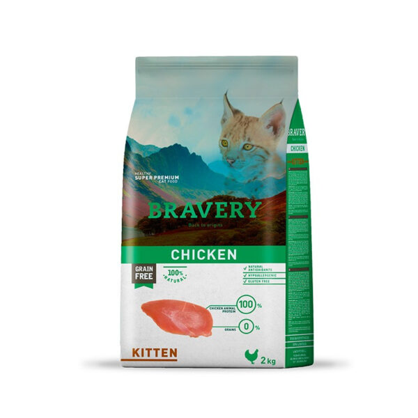 BRAVERY CHICKEN KITTEN