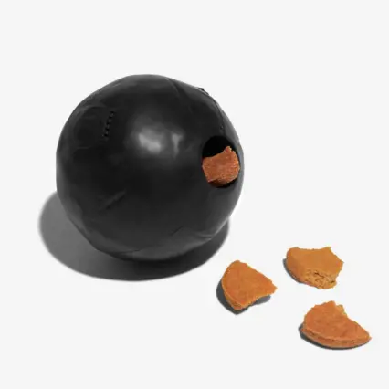 ZEE-DOG CANNON BALL