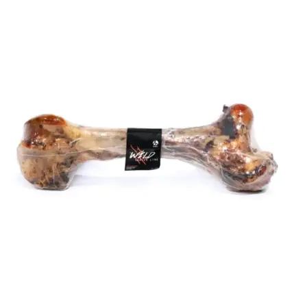 WILD FEMUR VACUNO