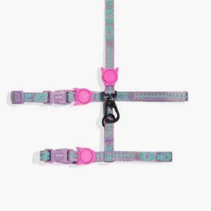 AURA CAT ARNES + LEASH SET