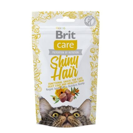 BRIT CAT SNACK SHINY HAIR