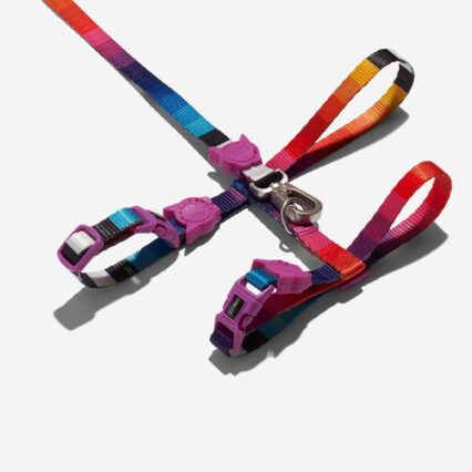 ZEE-CAT PRISMA ARNES + LEASH SET