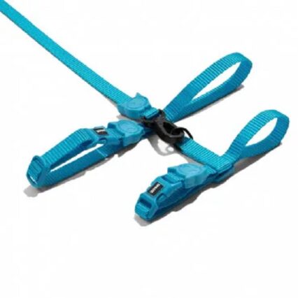 Zee-Cat Ultimate Blue Arnes + Leash Set