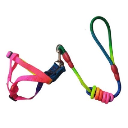 ARNES FLUOR ARCOIRIS NUDO