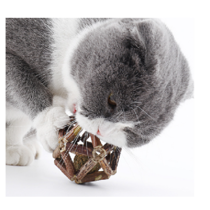 BOLA DE CATNIP EN JAULA DENTAL 7CM