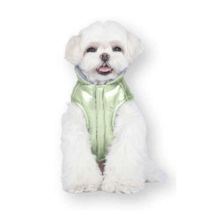 WONDER DOG CORTAVIENTOS PERRO
