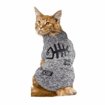 WONDER DOG SWEATER FISHBONE