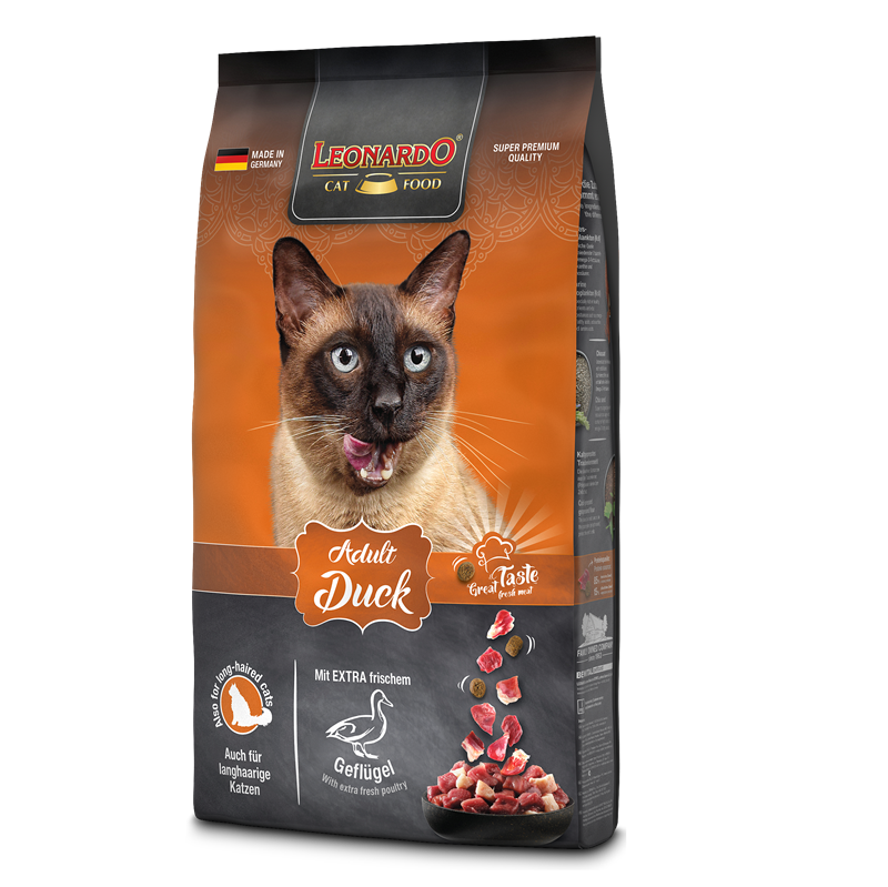 LEONARDO CAT ADULT