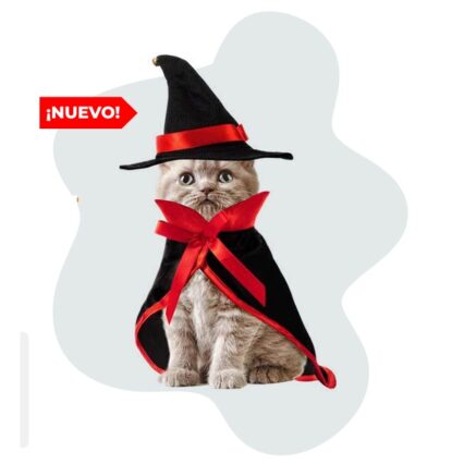 DISFRAZ BRUJO GATOS SOMBRERO CAPA