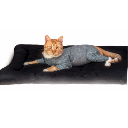 CUNATEX BODY DE COBRE GATO